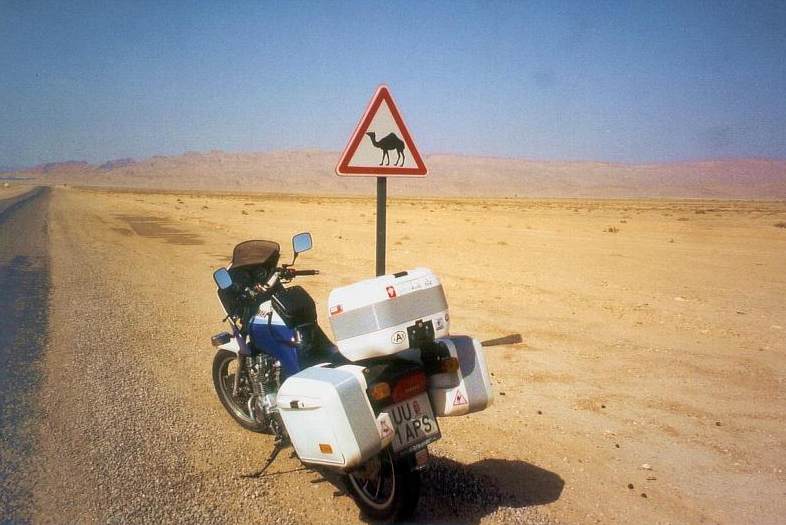 achtung_camel.jpg (55586 Byte)