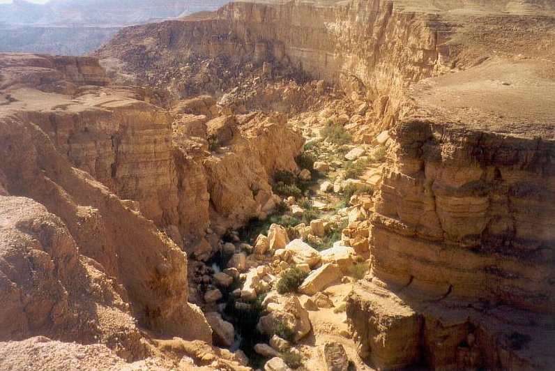 canyon.jpg (100221 Byte)