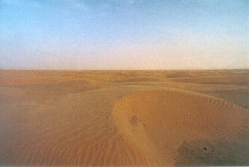 sahara1.jpg (46167 Byte)