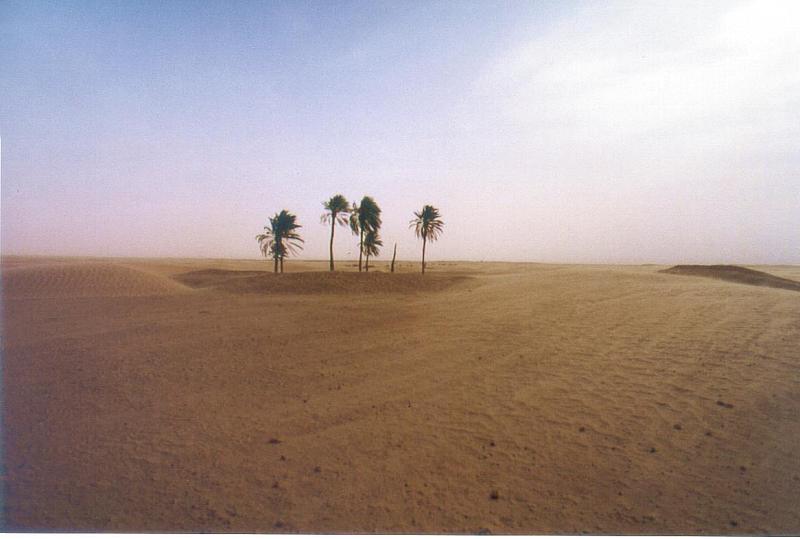sahara2.jpg (43884 Byte)