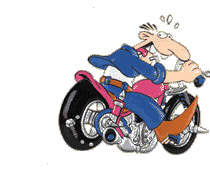 werner.gif (16303 Byte)